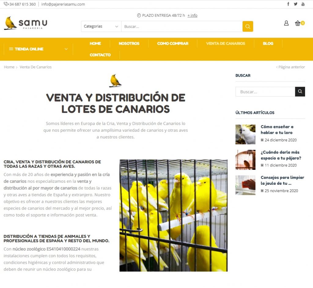 Comprar pájaro canario en pajareriasamu.com